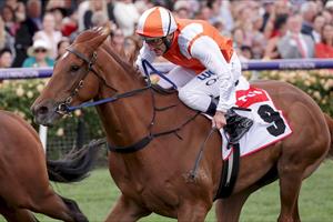 JOCKEY TRIBUTE - VOW AND DECLARE